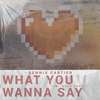 What You Wanna Say - Dennis Cartier&Ollie Wade