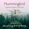 Hummingbird (Momentology & DJ Taz Rashid Remix) - DJ Taz Rashid&Equanimous&Cyndy Fike&Momentology