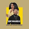 Sekwanele(feat. Rethabile Khumalo) - Shuga Cane&Rethabile Khumalo