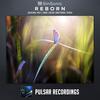 Reborn (Original Mix) - SinSonic