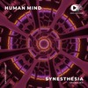 Synesthesia - HUMAN MIND