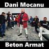 Beton Armat - Dani Mocanu