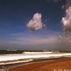 On the Beach - Fred P