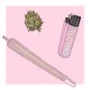 Pinke Jays (Explicit) - twogreen&Fabio kluck