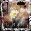 Daisy (Explicit) - Imposs