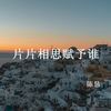 片片相思赋予谁 - 陈恳