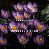 Siphon - Paraleven