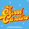 Sweet Caroline - Dimitri Vegas & Like Mike&Timmy Trumpet&Brennan Heart