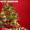 I Saw Mommy Kissing Santa Claus (1960) - Jimmy Charles