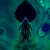 Tidal Wavelength (Explicit) - Blvckiiice&Quiddle