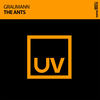 The Ants - Graumann