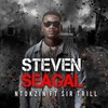 Steven Seagal (Radio Edit) - Ntokzin&Sir Trill