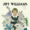 You're My Favorite - Joy Williams