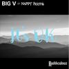 It's OK(feat. Big V) (Raddiculous Remix) - Raddiculous&Big V