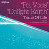 Delight Earth (TOL Original Mix) - Trans Of Life