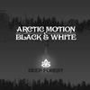 Black & White (Original Mix) - Arctic Motion