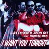 I Want You Tonight (Original Mix) - Attilson&Daniele Meo&Aldo Bit