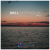 The Future is On (Original Mix) - Danske Beat