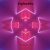 Meditation 245 - BigBudda