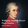 Piano Sonata No. 16 in C major, K. 545: 1. Allegro - River Two Harps&Wolfgang Amadeus Mozart