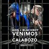 Venimos de un Calabozo(feat. Blackroy) (Explicit) - ADN&Blackroy
