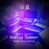 Analog Summer (Radio Instrumental Version) - Robert Carollo