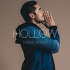 Hollow - Travis Atreo