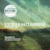 Horizon (Spreaking in Tongues Remix) - Stevie R&Matt Hardinge&Wayne Tennant