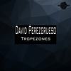 Tropezones (Original Mix) - David Perezgrueso