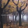 The child's game - Nosound