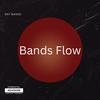 BANDS FLOW (Explicit) - Ray Bands