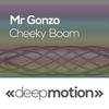 Cheeky Boom - Mr Gonzo