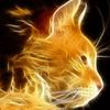 Fireheart - Teaganbear