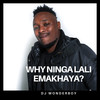 Why Ninga Lali Emakhaya - Dj Wonderboy&7 Step&Force Minora&Ishmail Lothe&Nkosinathi Lothe