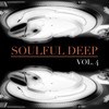 Virity (Deep Floor Mix) - Raul Perez