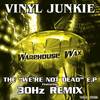 We're Not Dead (Original Mix) - Vinyl Junkie