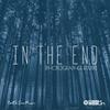 In The End (Photographer Remix) - Dash Berlin&Photographer