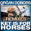 Ket Is for Horses (Outlaw Bros Remix) - Organ Donors&Outlaw Bros