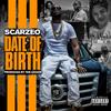 Date of Birth (Explicit) - Scarzeo