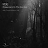 Disappeared In The Evening (XAB Remix) - Peg&XAB