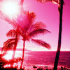Maui Woop (Remix|Explicit) - KnG FsT
