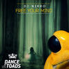Free Your Mind (Radio Edit) - DJ Nirro