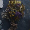 Mienvenido - Notokoyass