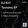 Fermi Paradox (Original Mix) - DJ Kot