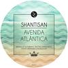 Conexão (Radio Edit) - Shantisan&Roland Schwarz&Luiz Antonio Gomes&Vinicius Terra