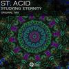 Studying Eternity (Original Mix) - St. Acid