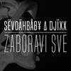 Zaboravi sve - SevdahBABY&Djixx