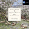An Acre of Land - Susan Longfield