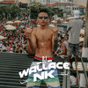 MEDLEY FINAL DE ANO (Explicit) - Dj Wallace Nk&DJ MOLCK&DJ Narru&MC GW&DJ Grecco