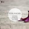 Nothing Is Wrong if It Makes You Happy - Peter Wagner